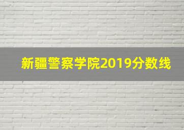 新疆警察学院2019分数线