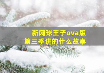 新网球王子ova版第三季讲的什么故事