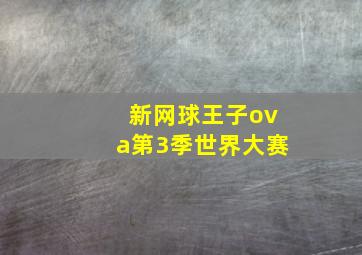 新网球王子ova第3季世界大赛