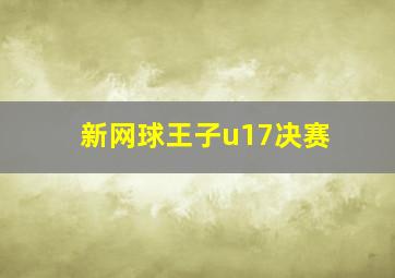 新网球王子u17决赛