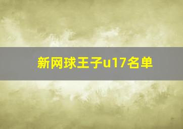 新网球王子u17名单