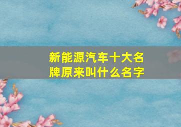 新能源汽车十大名牌原来叫什么名字