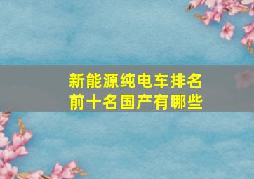 新能源纯电车排名前十名国产有哪些