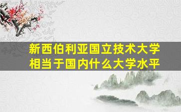 新西伯利亚国立技术大学相当于国内什么大学水平