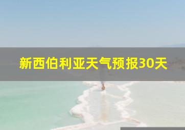 新西伯利亚天气预报30天