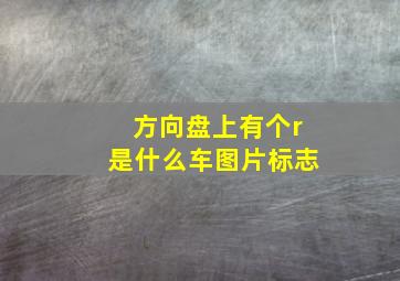 方向盘上有个r是什么车图片标志