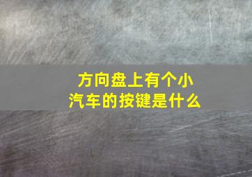 方向盘上有个小汽车的按键是什么