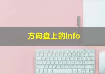 方向盘上的info