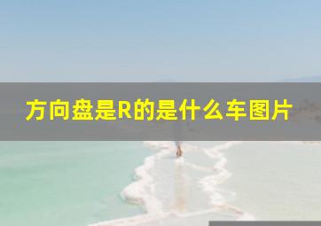 方向盘是R的是什么车图片