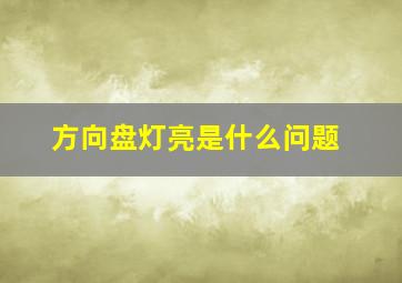 方向盘灯亮是什么问题