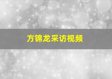 方锦龙采访视频