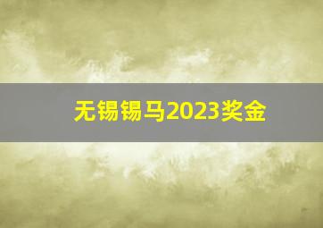 无锡锡马2023奖金