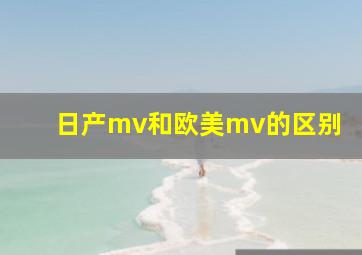 日产mv和欧美mv的区别