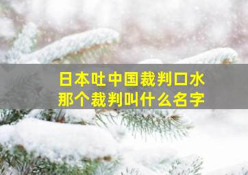 日本吐中国裁判口水那个裁判叫什么名字