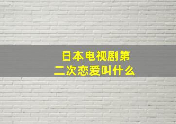 日本电视剧第二次恋爱叫什么