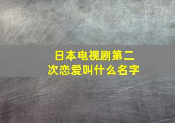 日本电视剧第二次恋爱叫什么名字