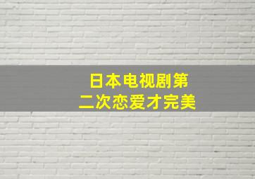 日本电视剧第二次恋爱才完美