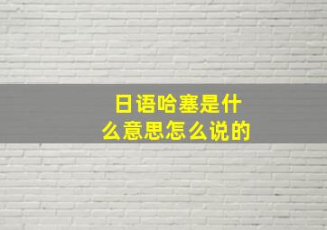 日语哈塞是什么意思怎么说的