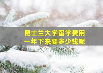 昆士兰大学留学费用一年下来要多少钱呢