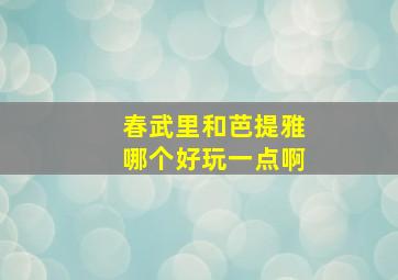 春武里和芭提雅哪个好玩一点啊