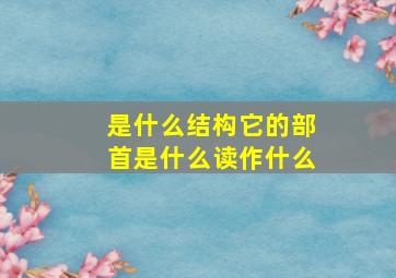 是什么结构它的部首是什么读作什么