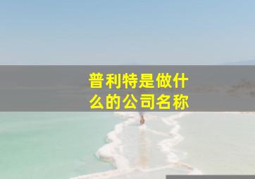 普利特是做什么的公司名称