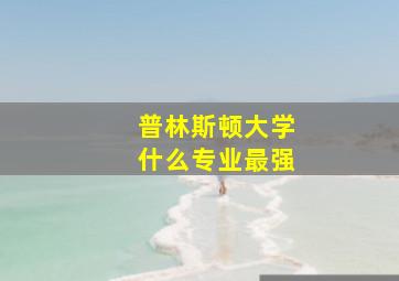 普林斯顿大学什么专业最强