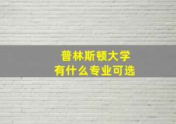 普林斯顿大学有什么专业可选