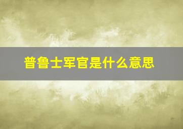 普鲁士军官是什么意思