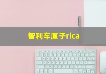 智利车厘子rica