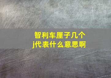 智利车厘子几个j代表什么意思啊