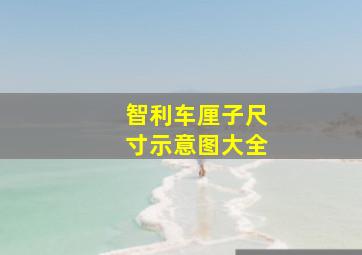 智利车厘子尺寸示意图大全