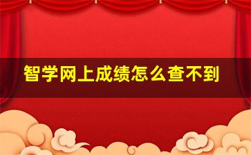 智学网上成绩怎么查不到