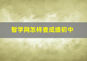 智学网怎样查成绩初中