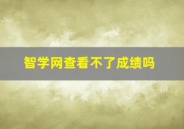 智学网查看不了成绩吗