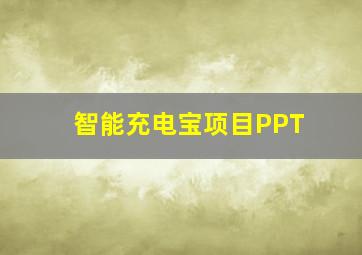 智能充电宝项目PPT