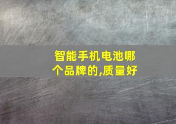 智能手机电池哪个品牌的,质量好