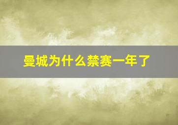 曼城为什么禁赛一年了