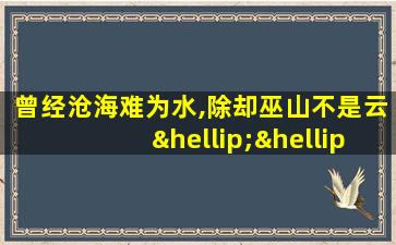 曾经沧海难为水,除却巫山不是云…………