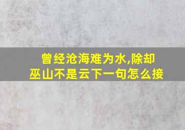 曾经沧海难为水,除却巫山不是云下一句怎么接