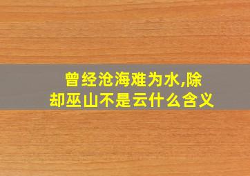 曾经沧海难为水,除却巫山不是云什么含义