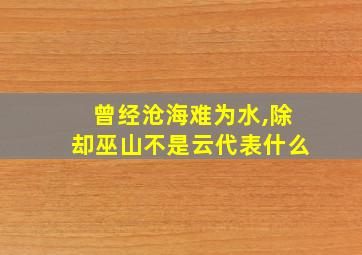 曾经沧海难为水,除却巫山不是云代表什么