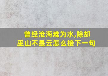 曾经沧海难为水,除却巫山不是云怎么接下一句