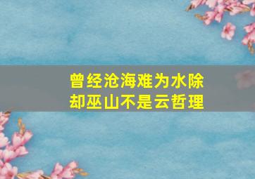 曾经沧海难为水除却巫山不是云哲理