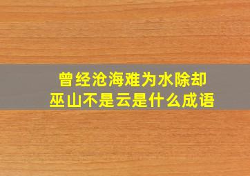 曾经沧海难为水除却巫山不是云是什么成语