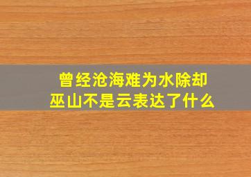 曾经沧海难为水除却巫山不是云表达了什么