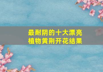 最耐阴的十大漂亮植物黄荆开花结果