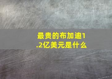 最贵的布加迪1.2亿美元是什么