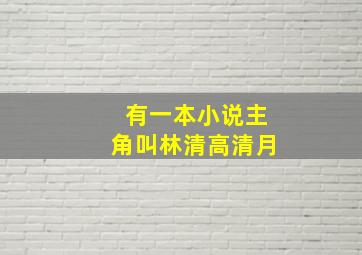 有一本小说主角叫林清高清月