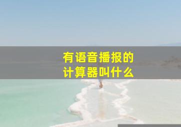 有语音播报的计算器叫什么